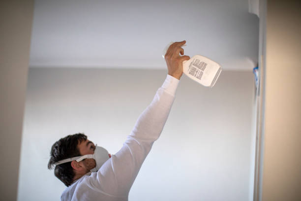 Best Industrial Mold Remediation in Rayre, MO