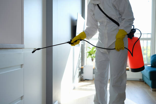 Raymore, MO Mold Remediation Company