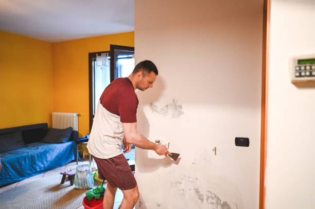 Best Insurance-Related Mold Remediation in Rayre, MO
