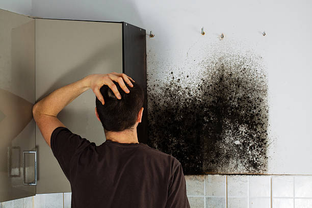 Raymore, MO Mold Remediation Company